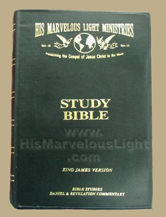 into his marvelous light bible study